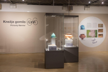 Razstava in publikacija, ki osvetlita predmete dveh gomil Kapiteljske njive