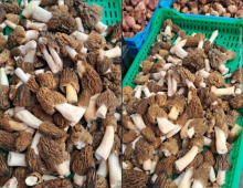 Skandal na pijaci u Beogradu: Prodavac nudi 