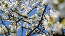 Wetter: Frühlingshafter Start ins Wochenende
