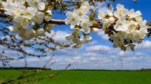 Wetter: Milde Temperaturen zum Wochenende in Berlin und Brandenburg