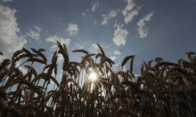 Rat u Iranu stvara probleme na drugom kraju svijeta: Nestašica je ključnog sastojka