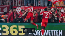 Uefa Champions League: Uefa ermittelt nach Champions-League-Sieg gegen Bayern München