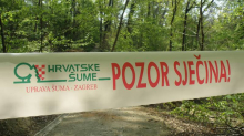 Hrvatske šume: 'U Zagrebu još saniramo šume od nevremena. Poštujte oznake upozorenja!'