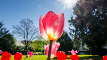 Wetter in NRW: Montag etwas trüb - Dienstag wieder sonnig
