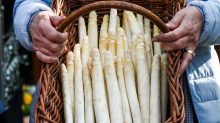 Spargelsaison: Altes, weißes Gemüse: Spargel bei jungen Menschen immer unbeliebter