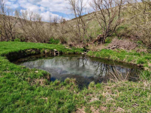 SKRIVENI RAJ U SRBIJI! U ovom selu iz zemlje izvire termalna voda koja leči i zimi, meštani saglasni: 
