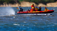 Gestrandeter Wal: „Die Rettungsaktion war eine schlechte Idee“