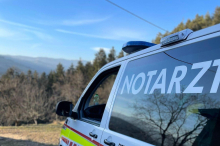 Tödlicher Forstunfall: Steirer (69) starb vor den Augen des Sohnes