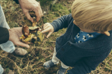 40 Jahre nach Tschernobyl: Wie gefährlich sind Pilze heute noch?
