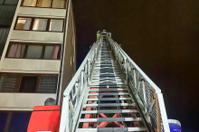 Zu schwer verletzt: Eingeklemmter Falke verstarb nach umfangreichem Rettungsversuch