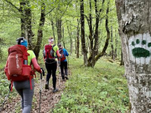 Lani blato, letos sonce: po medvedovih stopinjah v cilj 2.771 pohodnikov