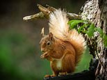 Wildlife group urges visitors to 'dress appropriately' after naturalist event confused for nudist retreat