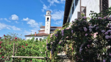 Nova Gorica, torna il Festival delle Rose: al via la 21ª edizione