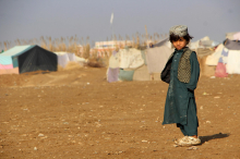 ZDA naj želele Afganistance, ki so jim pomagali v vojni, poslati v DR Kongo ali nazaj v Afganistan