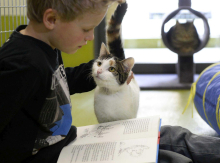 Poziv novoizvoljenemu DZ-ju, naj knjigo obravnava kot strateško vprašanje družbenega razvoja