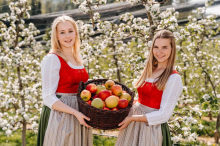 Das ist die Krönung: Die Steiermark hat zwei neue Obsthoheiten