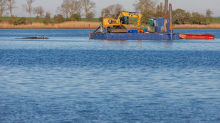 Gestrandeter Buckelwal: Backhaus zur Wal-Rettung: 