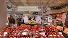 Coop Alleanza 3.0 prosegue il risanamento con 38 milioni di utile