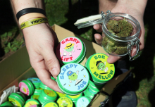 Marihuana marš: Slovenija najbližje celostni ureditvi zakonodaje o konoplji doslej, a boj ni končan