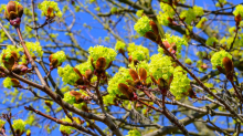 Wetter in Bayern: Temperaturen bis 23 Grad - Sonne lockt Bayern ins Freie