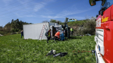Gammertingen: Lastwagen mit Schweinehälften an Bord kommt von Straße ab