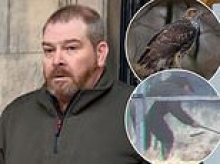 Gamekeeper who bludgeoned a rare bird of prey to death after becoming 'frustrated' is spared jail