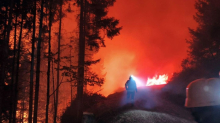 Brände: Waldbrand in Österreich - 110 Hektar stehen in Flammen