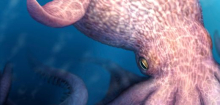 Urwesen aus der Zeit der Dinosaurier: Forscher finden Reste eines 19-Meter-Krakens