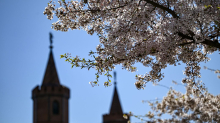 Wetter: Sonniger Sonntag, Nächte bleiben frostig