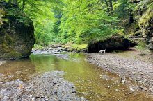 Weil ihr Hund an der Leine zog, stürzte Steirerin über Felskante