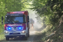Anhaltende Trockenheit: Gemüsebauern brauchen dringend Regen, Kammer warnt vor weiterer Waldbrandgefahr
