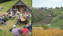 Agrarne skupnosti in vinogradništvo vpisani v register nesnovne kulturne dediščine