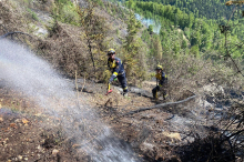 Waldbrand in Eisbach-Rein: 70 Hektar betroffen, weitere Brände lodern
