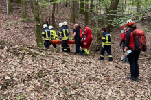 Bad Gams: Weststeirer (18) von Kettensäge im Gesicht getroffen