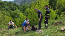 Drama u Lopači: Vatrogasci i mještani spasili tek rođeno ždrijebe iz duboke provalije