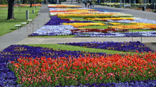 Thüringens größter Garten: Blühendes Denkmal - egapark besteht 65 Jahre