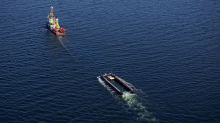 Buckelwal: Netz von Barge mit Buckelwal in Ostsee entfernt
