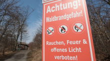 Trockenheit: Waldbrandgefahr steigt - am Sonntag höchste Stufe erwartet