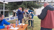 Međunarodna izložba pasa svih rasa u Vranju: Učestvuje 200 pasa iz 19 zemalja (FOTO)