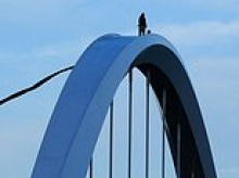 Stomach-churning moment reckless anti-Trump protester brings rush hour traffic to a standstill by scaling 168ft bridge in DC
