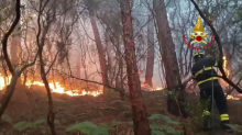 Feuer in Urlaubsregion: Lage in Toskana entspannt sich: Evakuierte können zurück