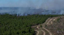 Feuerwehreinsatz bei Jüterbog: Waldbrand auf ehemaligem Truppenübungsplatz breitet sich aus