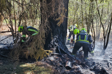 Nächster Waldbrand: Waldstück in Stainz fing Feuer: Jäger begann mit Löscharbeiten