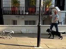Impawsible! Moment real dog comes face-to-face with AI robot pooch in London