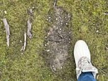 Bigfoot sightings on the rise in Ohio as strange noises and Sasquatch-size 'tracks' discovered in wilderness