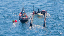 Wal-Newsblog: Wal-Schlepper „Fortuna B“ ist zurück - Tierärztin erhebt Vorwürfe