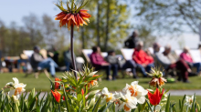 Wetter: Im Norden kalt und im Süden warm: Wetter bleibt wechselhaft