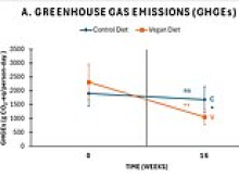 Time to ditch the burgers? Adopting a vegan diet slashes your greenhouse gas emissions by 55%, study finds