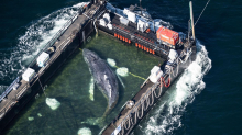 Drama in der Nordsee: Was geschah auf der „Fortuna B“?