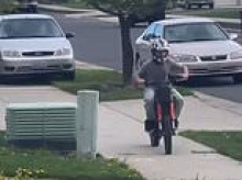 Upscale Pacific Northwest neighborhood explodes after Ford Focus Karen, 56, chases child down sidewalk in her CAR: Read her astonishing excuse